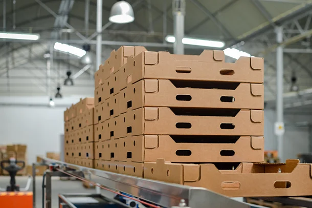 Wooden Pallets